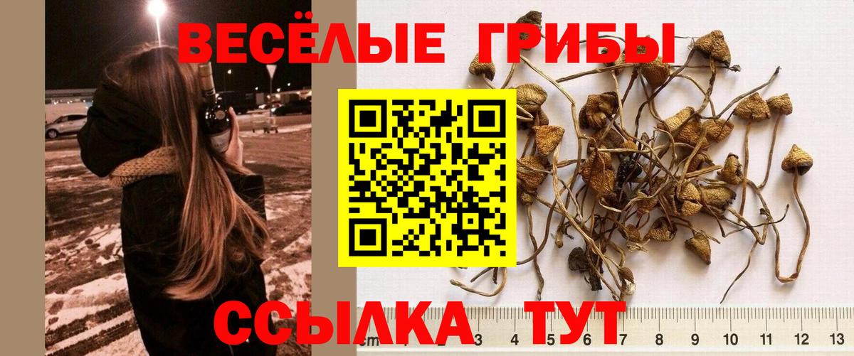 Псилоцибиновые грибы ЛСД Крымск