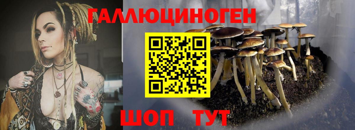 Галлюциногенные грибы прущие грибы  Вход с VPN  Крымск 